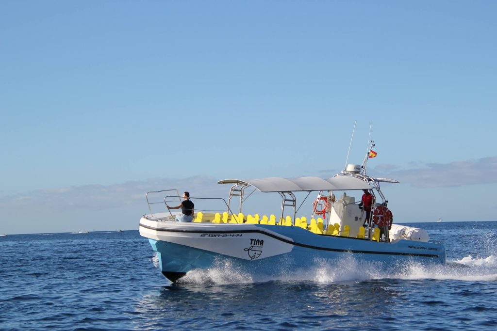 Excursión en el Barco Azul de Tina Excursiones en La Gomera