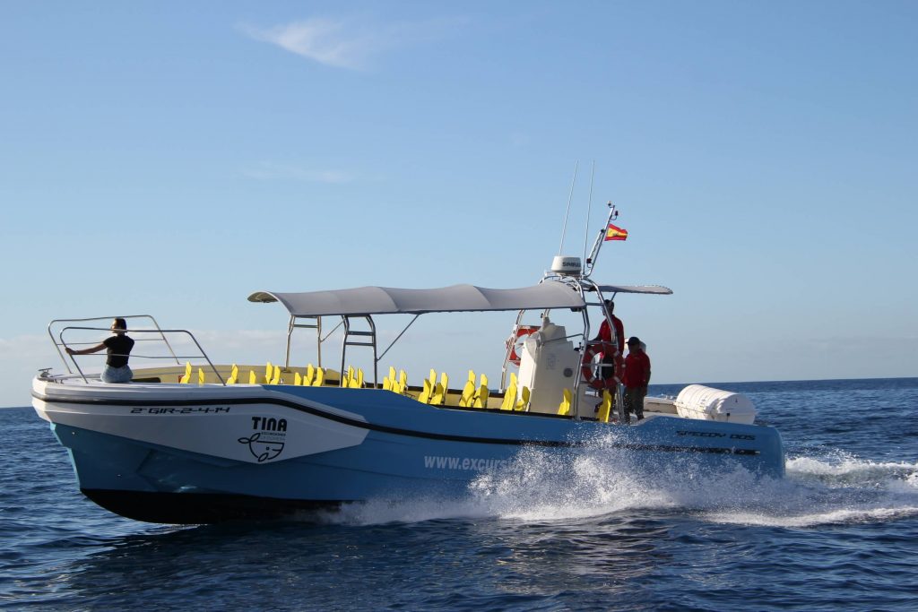 Excursión en el Barco Azul de Tina Excursiones en La Gomera